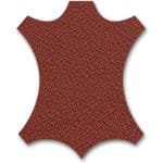 sage beauty bondi - Professional Guide and Review