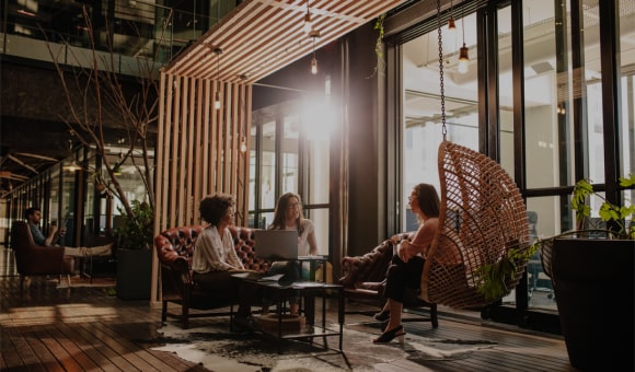 raspberry tea leaf - Professional Guide and Review